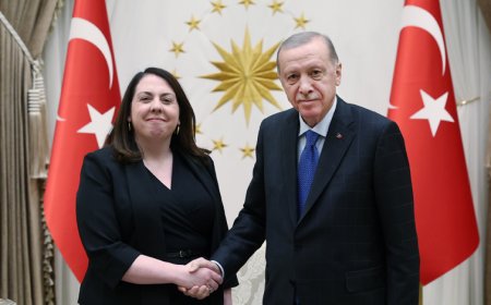 İrlanda Büyükelçisi Brosnan, Güven Mektubunu Cumhurbaşkanı Erdoğan’a Sundu