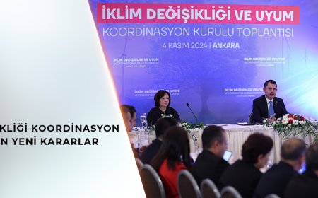 İklim Değişikliği ve Uyum Koordinasyon Kurulu'nda 2053 Stratejisi ve Yeni Kararlar Alındı