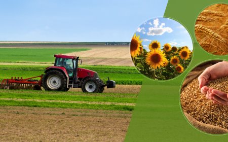 149 Milyon Liralık Tarımsal Destekleme Ödemesi Bugün Hesaplara Aktarılıyor