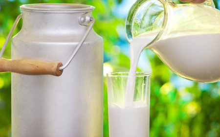 Çiğ Süt Primi Yılın Son 3 Ayında Litre Başına 1 Lira Olarak Belirlendi