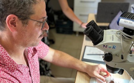 Binlerce Yıllık Tablet Hatay’da Gün Işığına Kavuştu