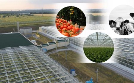 Organize Tarım Bölgeleri İçin Yatırım Rehberi Hazırlandı