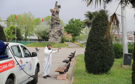 Bayrampaşa’da Sineksiz Bir Yaz İçin Yoğun İlaçlama Çalışmaları Başladı