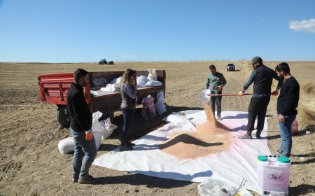 Van Büyükşehir Belediyesi Bin Yıllık Yerel Tohumları Toprakla Buluşturuyor