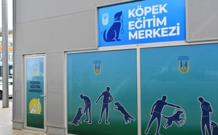 LÜKEM, 4 Ekim Hayvanları Koruma Günü’nde Lüleburgaz’da Kapılarını Açtı