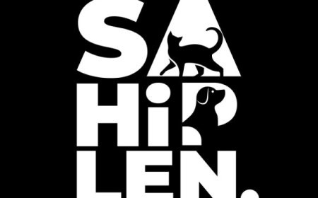 Lüleburgaz Belediyesi, Sokak Hayvanlarına Yuva Bulmak İçin Yeni Bir Platform Başlattı