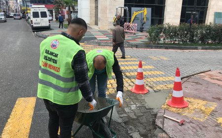 Bulancak Belediyesi'nden Hızlı Çözüm: Alo 153 Hattına Gelen Talepler Anında İşleme Alındı