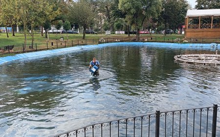 Kağıthane'nin Doğal Güzellikleri Koruma Altında: Hasbahçe Göleti Temizlendi