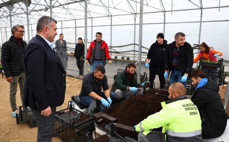 Üreten Belediyecilik Anlayışımızla Şehrimize Güzellik Katmaya Devam Ediyoruz