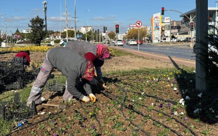 Seralarımızda Ürettiğimiz Bitkilerle Kenti Yeşillendirmeye Devam Ediyoruz
