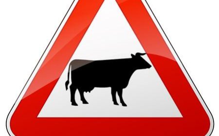 Otlatma Mevsimi Başladı