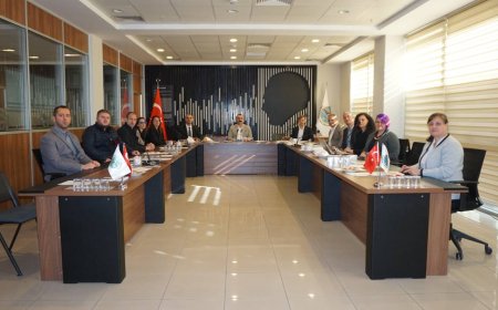 "Yeşil Kent Direnci" Projesi İçin Ortaklar Aranıyor: Sürdürülebilir Gelecek İçin Güç Birliği