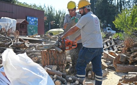 Akhisar Belediyesi’nden İhtiyaç Sahibi Vatandaşlara Yakacak Odun Desteği