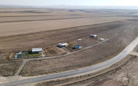 Odunpazarı Belediyesi, SS Yeşilçam Kır Evleri'ndeki Kaçak Yapıları Yıkıyor