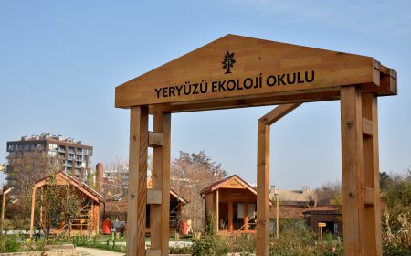 Yeryüzü Ekoloji Okulu Kasım Ayı Atölyeleri Başlıyor