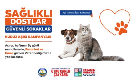 Kuduz Aşı Kampanyası Başladı: Aşı Takvimi Duyuruldu