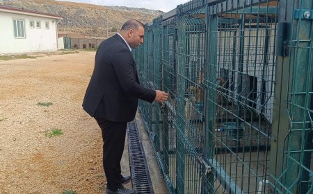 Başkan Bilecen Can Dostlarımızı Ziyaret Etti