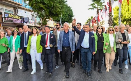 Festival, Manavgat’ın Zeytin Potansiyelini Ortaya Çıkardı