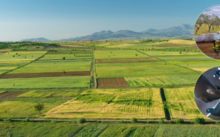 253 Milyon Liralık Tarımsal Destekleme Ödemesi Çiftçilerin Hesaplarına Aktarılıyor