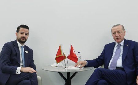 Cumhurbaşkanı Erdoğan, Karadağ Cumhurbaşkanı Milatović ile Görüştü