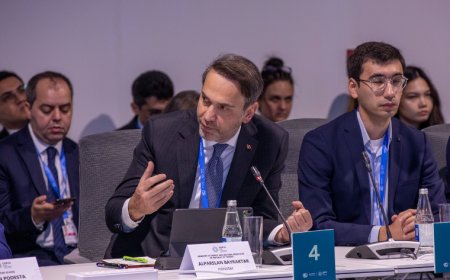 COP29'da Türkiye'nin Enerji Dönüşümü Hedeflerini Anlattı