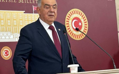 Demokrat Parti Sözcüsü Altıntaş: "Parlamentoya Kimin Gelip Konuşacağını Millet Belirler"