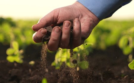 TEMA Vakfı: “Sağlıklı Yaşam İçin Sağlıklı Topraklara İhtiyacımız Var”