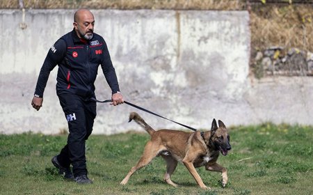 İHH Arama Kurtarma Köpeği ve Eğitmeni 122 Ekip Arasında Birinci Oldu