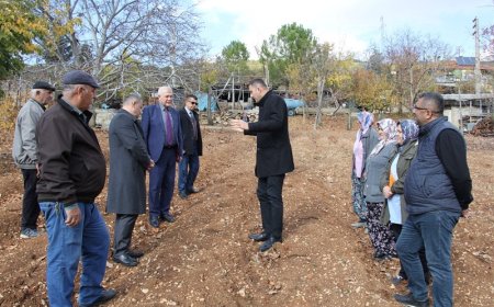 Eğirdir'de Safran Hasadı Etkinliği Kaymakam Ömer Çimşit’in Katılımıyla Gerçekleştirildi