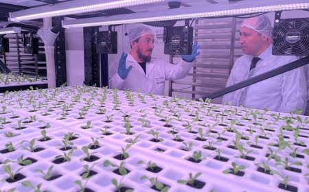 Tekirdağ’da Dikey Sera İle Üretim Yapan İşletmede Hasat ve İşletme Ziyareti Gerçekleştirildi