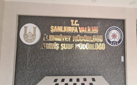 Şanlıurfa’da Nitelikli Dolandırıcılık Operasyonu: 4 Şüpheli Tutuklandı