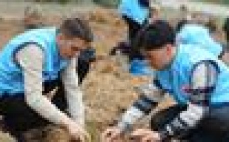 22 Kasım 2024 Cuma Hutbesi: İlim İzzete, Şiddet Zillete Götürür