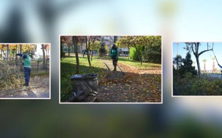 Giresun Belediyesi Yeşil Alanlarda Düzenleme Çalışmalarını Sürdürüyor