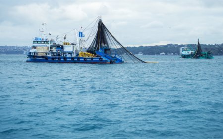 FAO Akdeniz Genel Balıkçılık Komisyonu’ndan (GFCM) Türkiye’ye 4. Kez “Tam Uyum Ödülü”