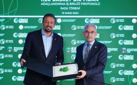 Her Basket Bir Fidan Projesi ile 350 Bin Fidan Doğa ile Buluşacak