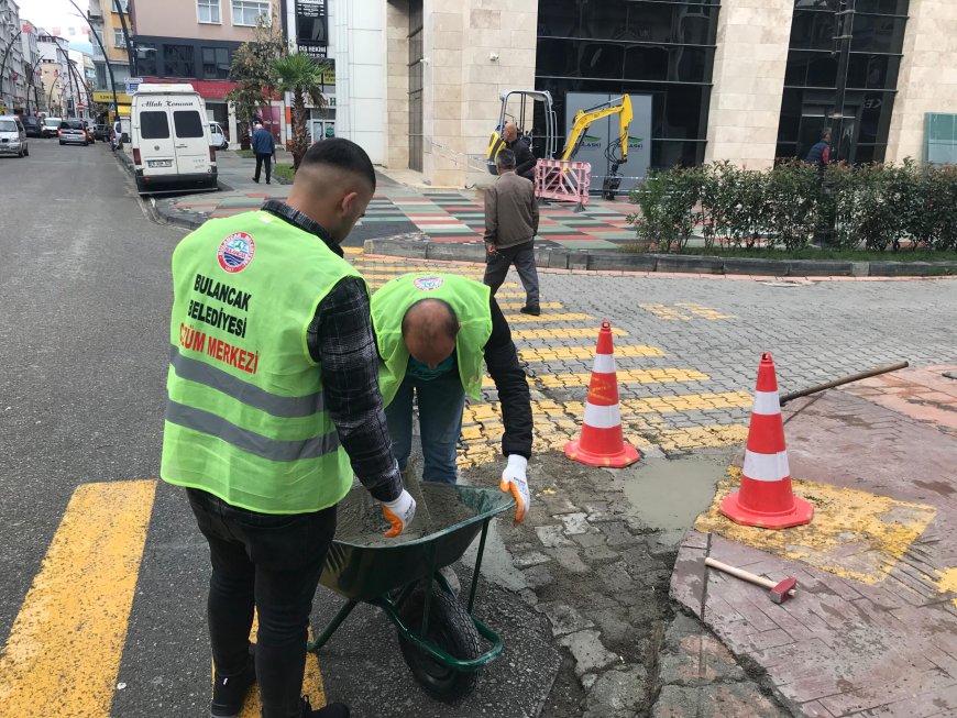 Bulancak Belediyesi'nden Hızlı Çözüm: Alo 153 Hattına Gelen Talepler Anında İşleme Alındı