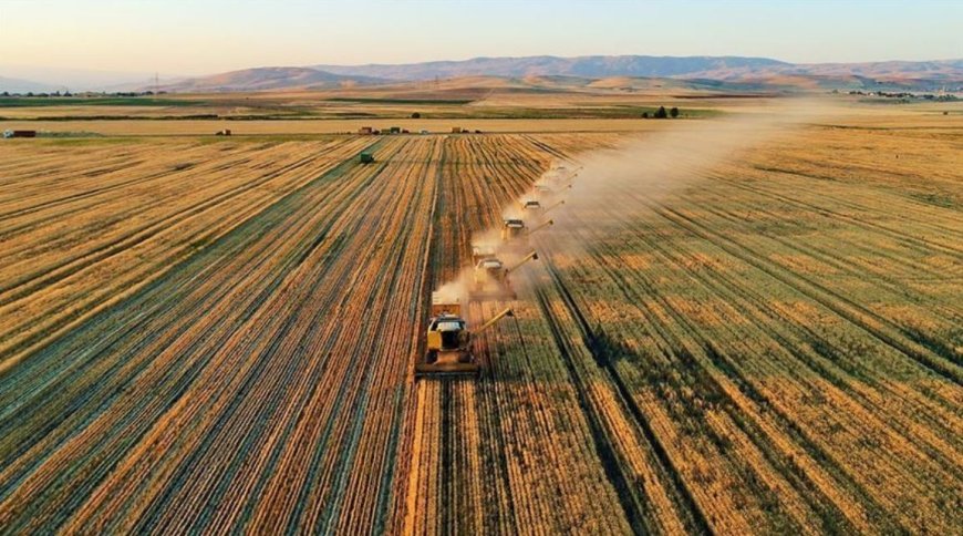 Tarım ve Orman Bakanlığı’ndan “33 Soruda Planlı Üretim” Rehberi