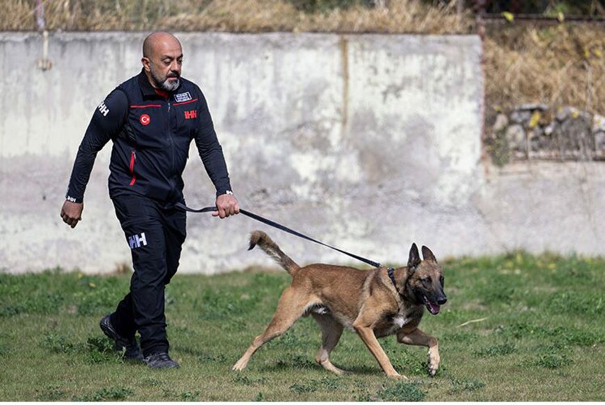 İHH Arama Kurtarma Köpeği ve Eğitmeni 122 Ekip Arasında Birinci Oldu