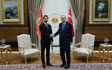 Karadağ Cumhurbaşkanı Milatoviç Cumhurbaşkanlığı Külliyesi'nde