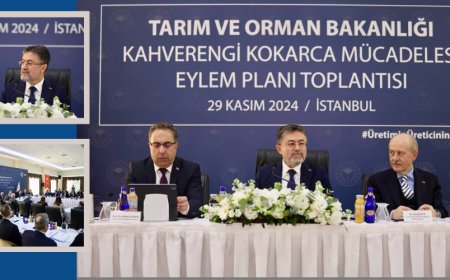 Kahverengi Kokarca Mücadelesi Eylem Planı Toplantısı İstanbul’da Gerçekleştirildi