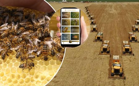 TarımCebimde Yeni Özellikleriyle Üreticilerin ve Vatandaşların Hizmetinde