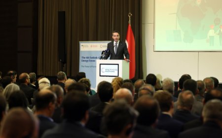 Alman Yatırımcılara Yenilenebilir Enerji Daveti