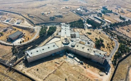 Esad ve Sednaya Hapishanesi: "İnsanlığın Kaybolduğu Yer"