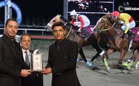 Atlar Harran Belediyesi İçin Koştu: Taşkayalar Birinci Oldu