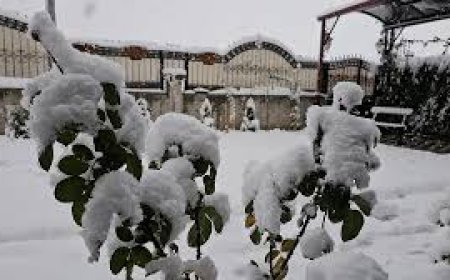 Kayseri’ye Meteoroloji Alarmı: Son 60 Yılın En Sert Kışı Bekleniyor