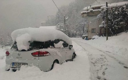 Doğu Karadeniz'de Beyaz Esaret Etkili Oldu