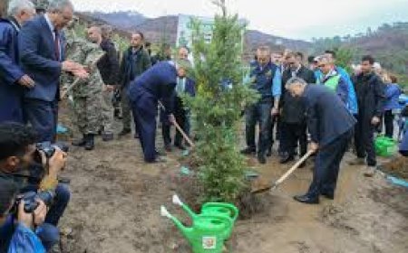 İzmir'de Kestane Üreticilerine 2.620 Fidan Dağıtıldı