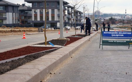 Büyükşehir’den Kuru Peyzaj Çalışması