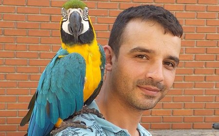 Gece İş Yerinde Kaldı: Sabah Arkadaşları Şok Yaşadı