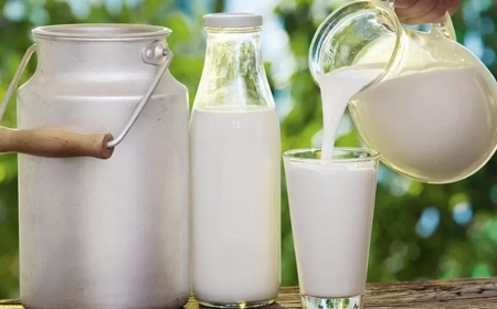 Kastamonu’da Çiğ Süt Destek Ödemeleri Başladı